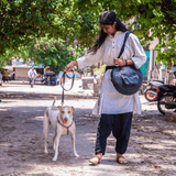 Autoappa | a multipurpose bag - The Second Life India