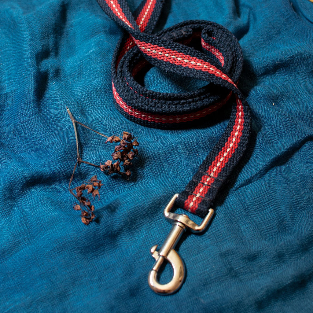 Dog leash - The Second Life India