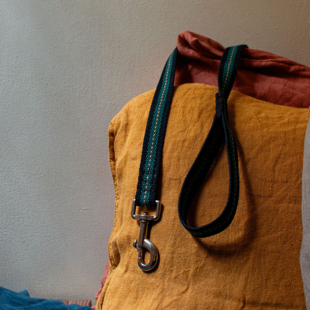 Dog leash - The Second Life India